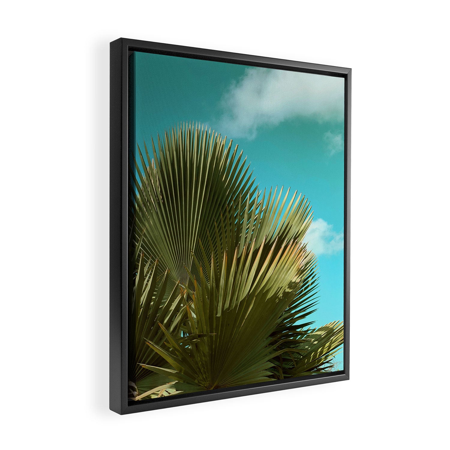 Cuban Palm and Clouds Framed Canvas Print Gallery Image 2
