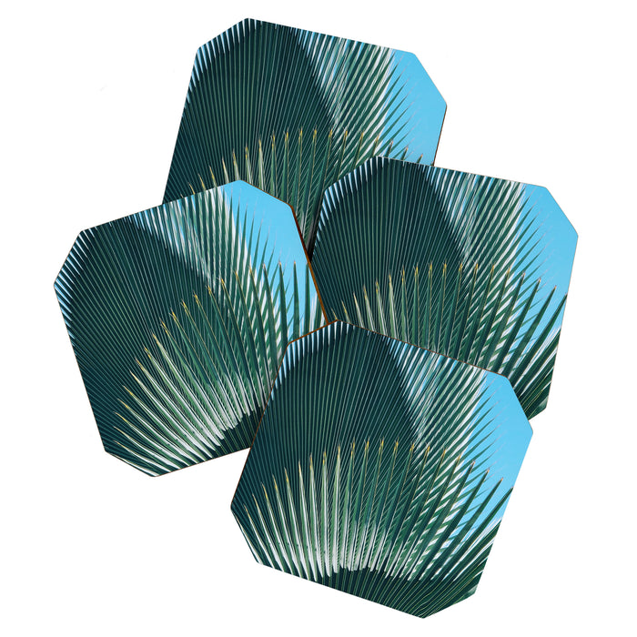 Cuban Palm Tree Coaster Gallery Image 1