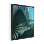 Cuban Palm Tree Framed Canvas Print Gallery Image 2