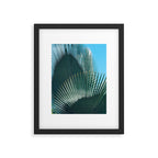 Cuban Palm Tree Framed Art Print Gallery Image 5