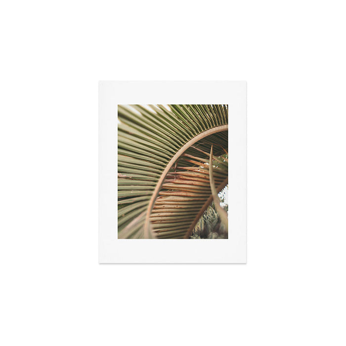 Curvy Art Print Gallery Image 1