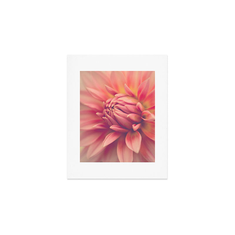 Dahlia 7 Art Print Gallery Image 1