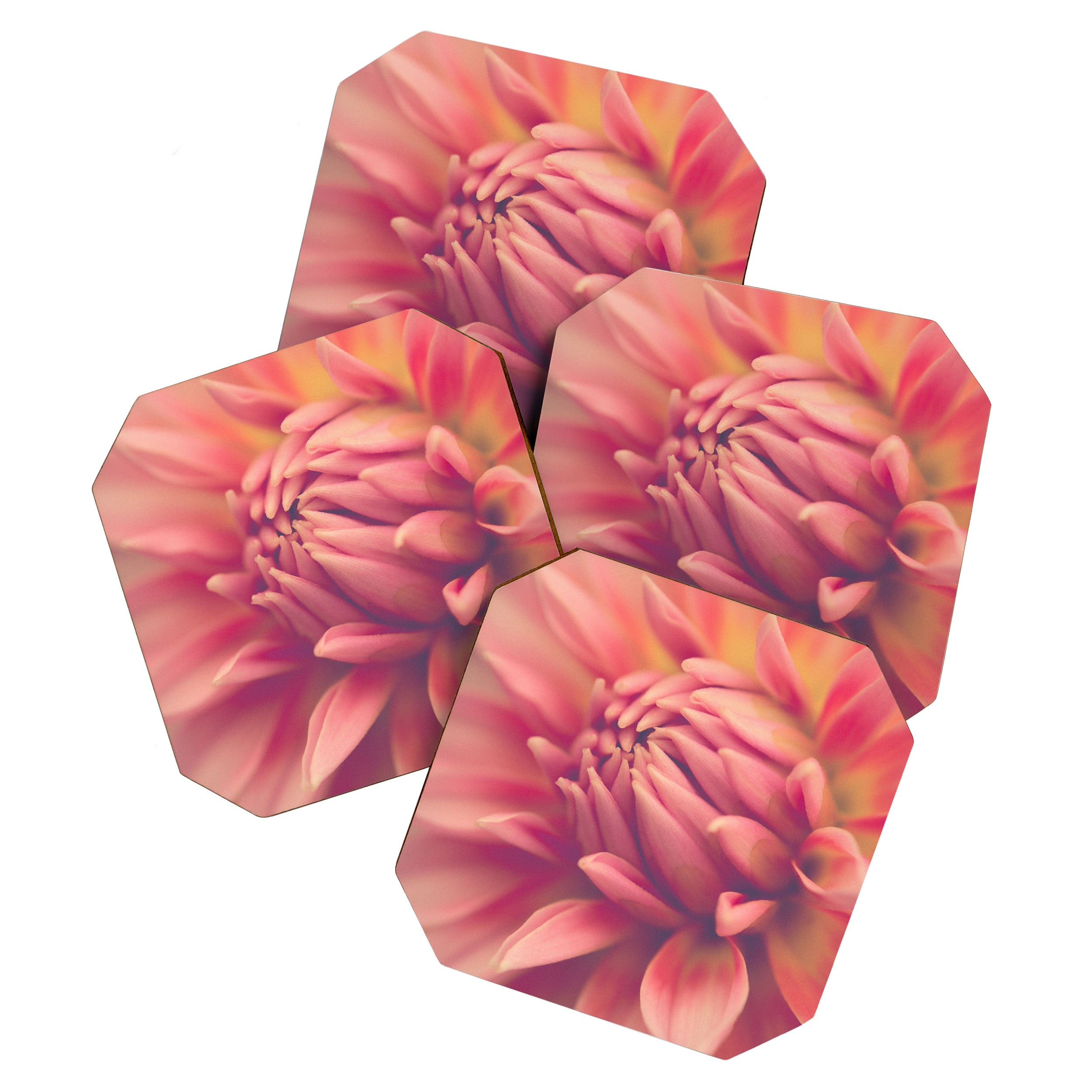 Dahlia 7 Coaster Gallery Image 1