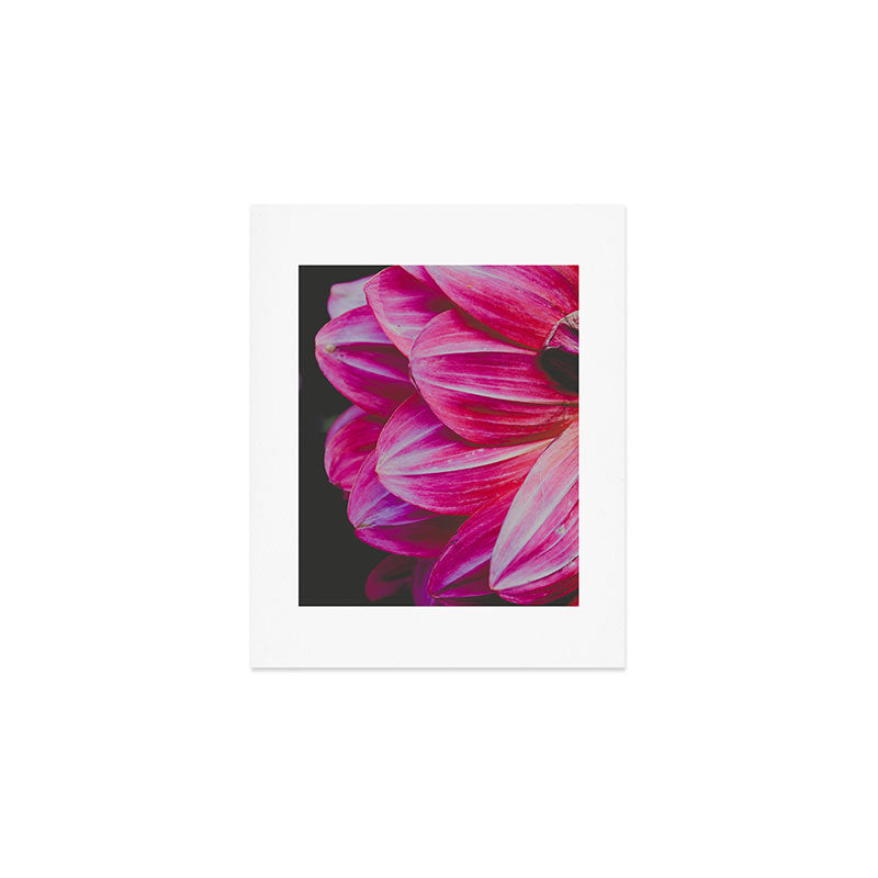 Dahlia 9 Art Print Gallery Image 1