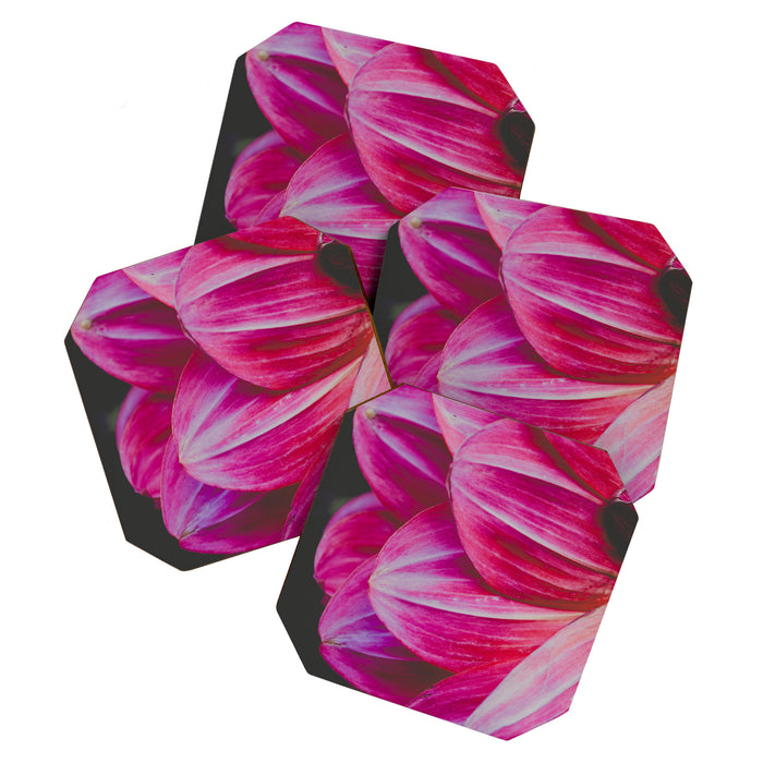 Dahlia 9 Coaster Gallery Image 1