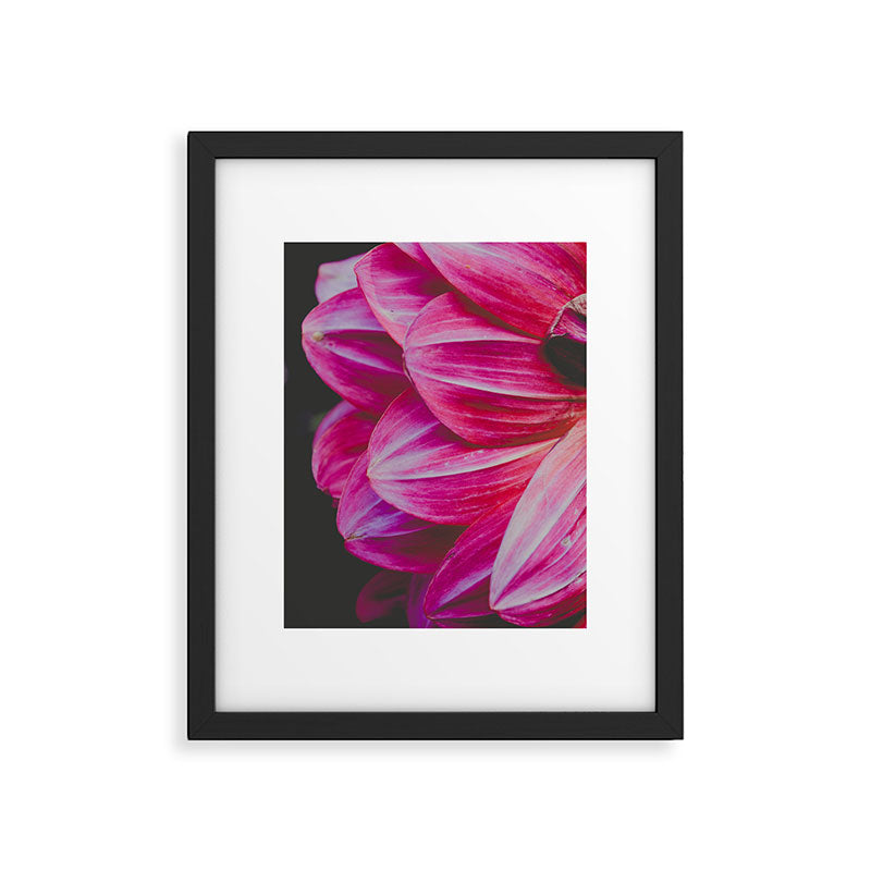 Dahlia 9 Framed Art Print Gallery Image 5