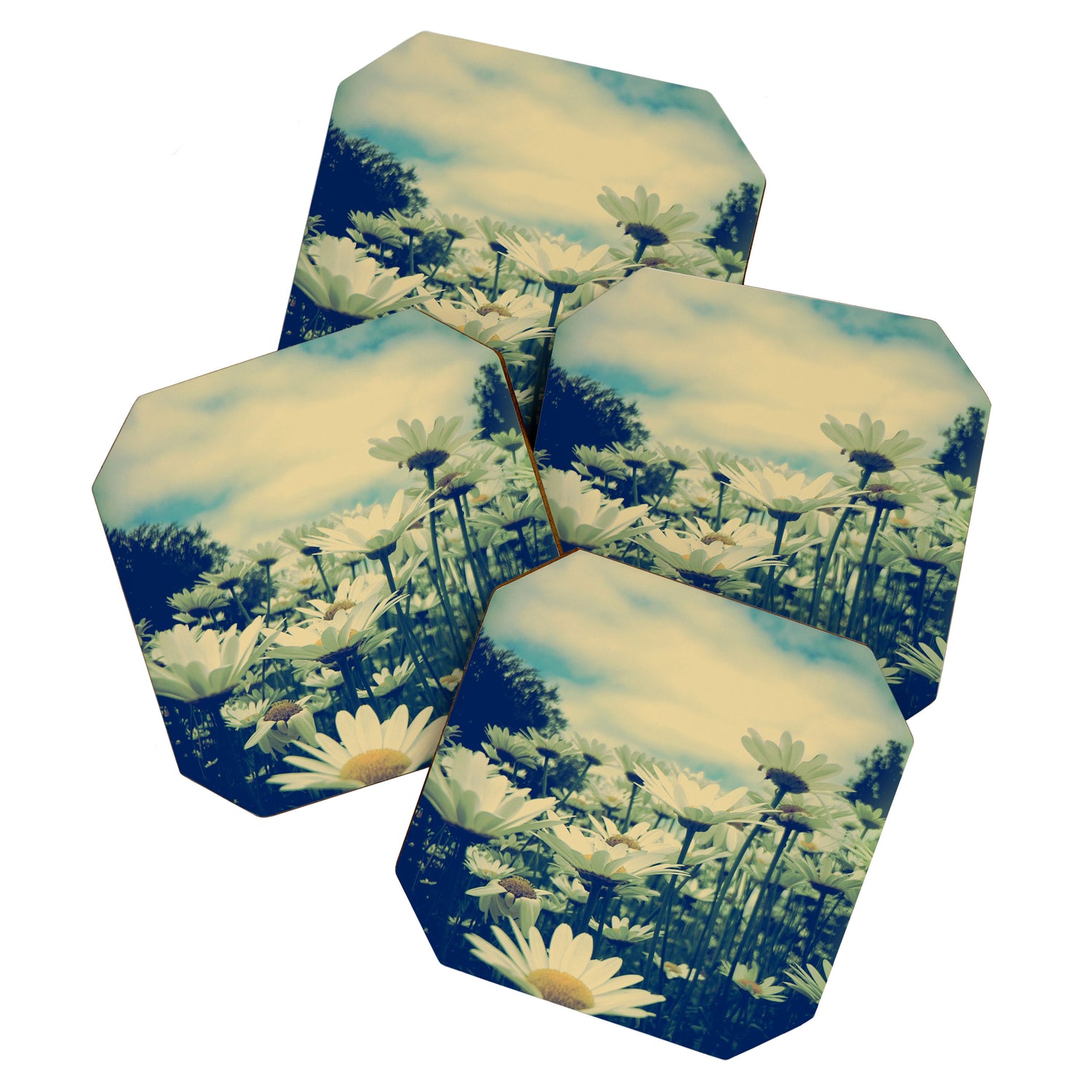 Daisy Love Coaster Gallery Image 1