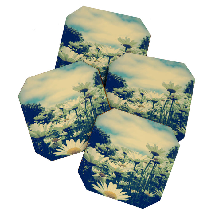 Daisy Love Coaster Gallery Image 1