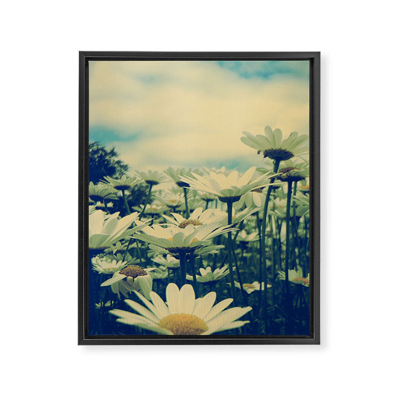 Daisy Love Framed Canvas Print Gallery Image 8