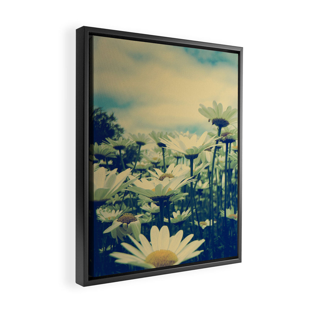 Daisy Love Framed Canvas Print Gallery Image 2