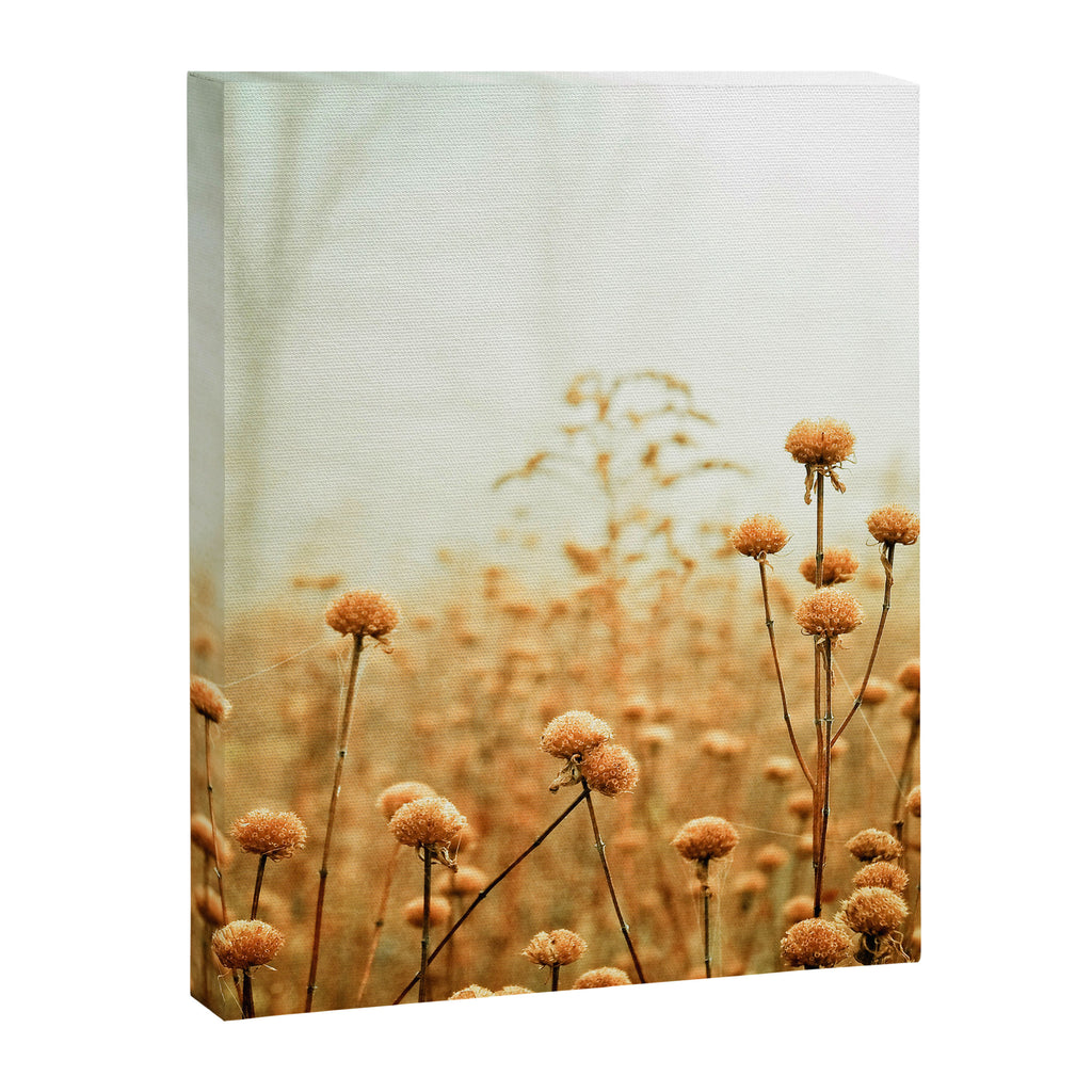 Daybreak in the Meadow Canvas Print Gallery Image 6