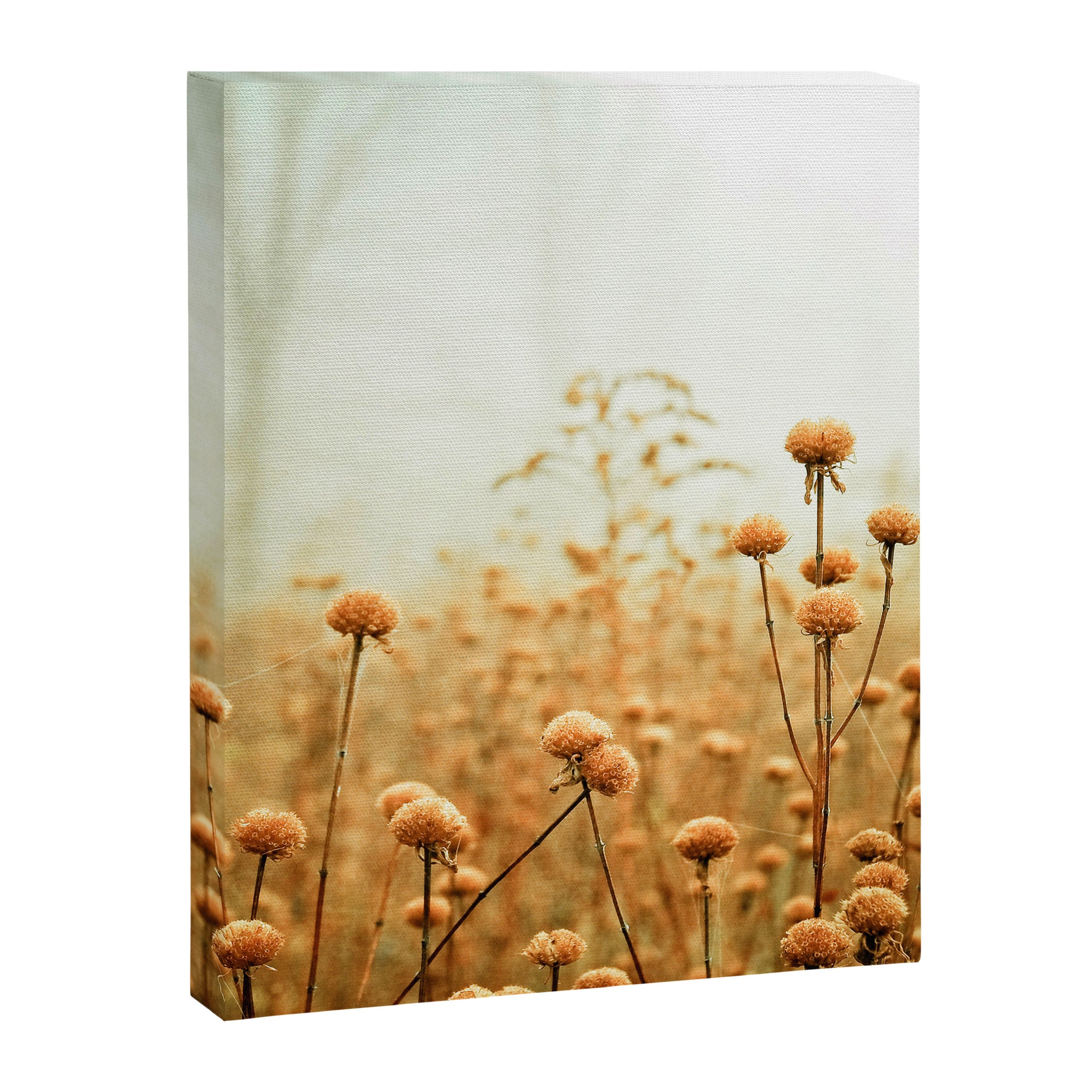 Daybreak in the Meadow Canvas Print Gallery Image 6
