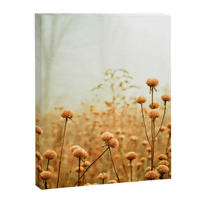 Daybreak in the Meadow Canvas Print Gallery Image 1