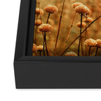 Daybreak in the Meadow Framed Canvas Print Gallery Image 3