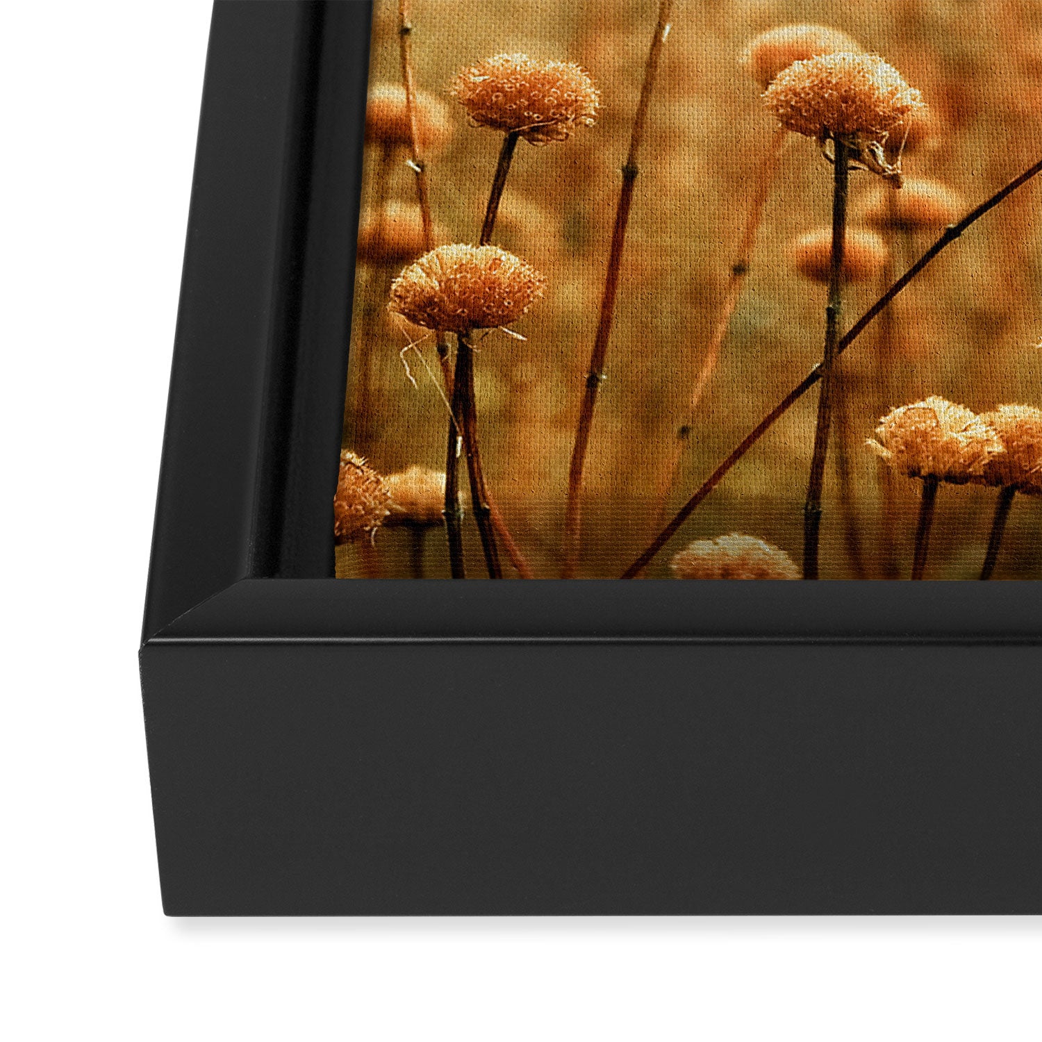 Daybreak in the Meadow Framed Canvas Print Gallery Image 3