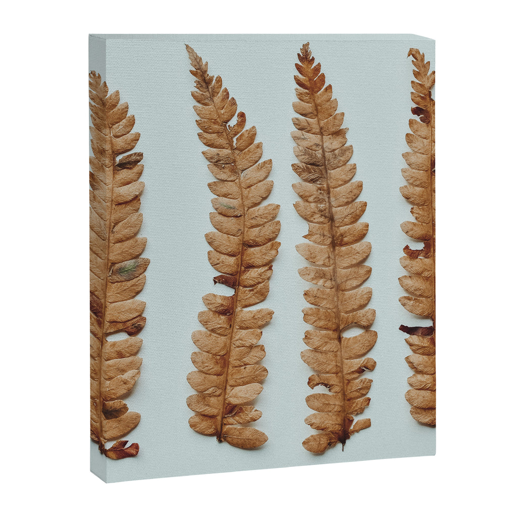 Deconstructed Fern x Minimalist botanical leaf autumn photograph Canvas Print Gallery Image 6