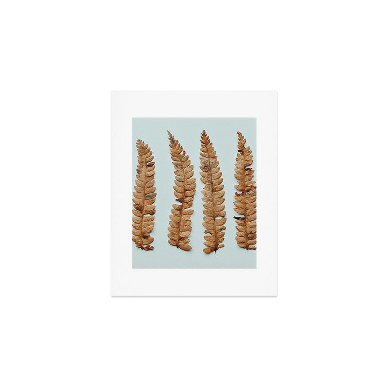 Deconstructed Fern x Minimalist botanical leaf autumn photograph Art Print Gallery Image 1