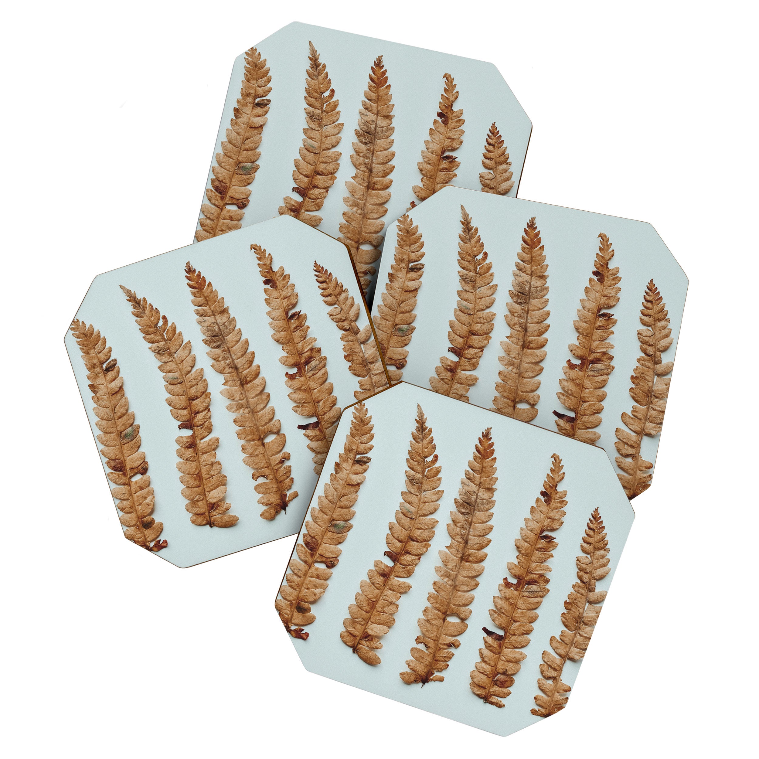 Deconstructed Fern x Minimalist botanical leaf autumn photograph Coaster Gallery Image 1