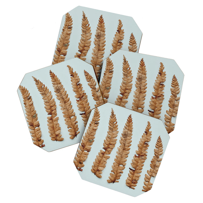 Deconstructed Fern x Minimalist botanical leaf autumn photograph Coaster Gallery Image 1