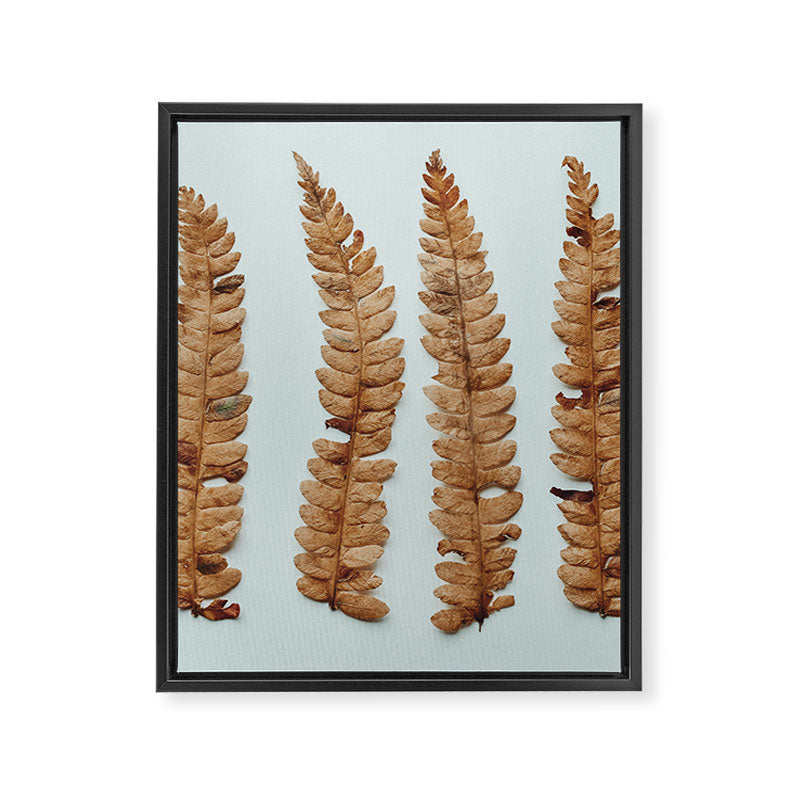 Deconstructed Fern x Minimalist botanical leaf autumn photograph Framed Canvas Print Gallery Image 6