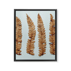 Deconstructed Fern x Minimalist botanical leaf autumn photograph Framed Canvas Print Gallery Image 6