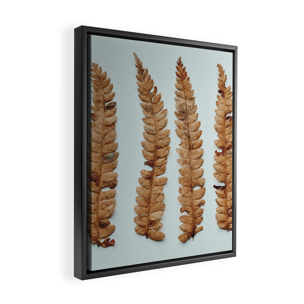 Deconstructed Fern x Minimalist botanical leaf autumn photograph Framed Canvas Print Gallery Image 2