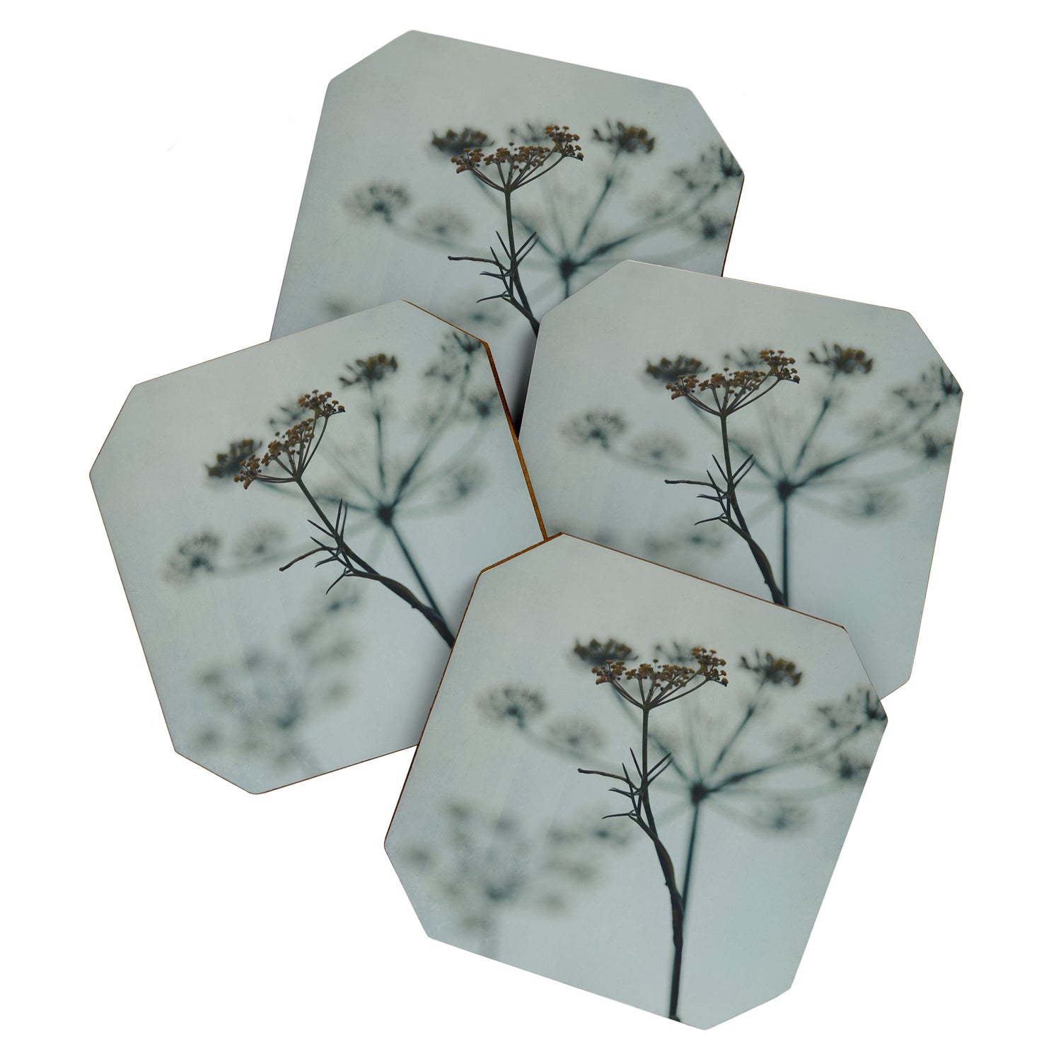 Delicate - abstract floral art photograph botanical Coaster Gallery Image 1