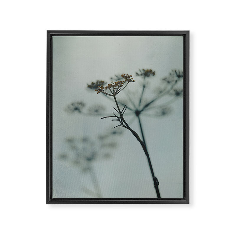 Delicate - abstract floral art photograph botanical Framed Canvas Print Gallery Image 6