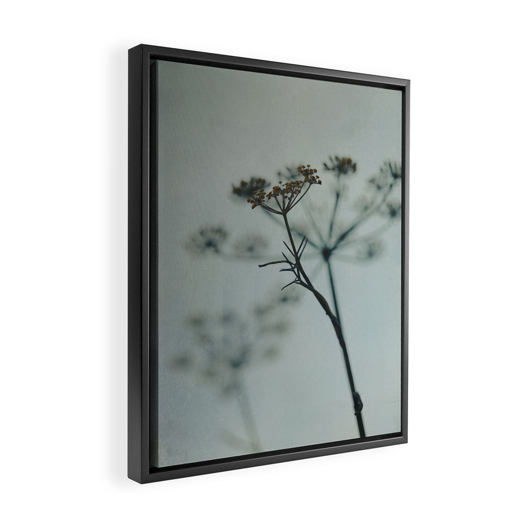Delicate - abstract floral art photograph botanical Framed Canvas Print Gallery Image 2