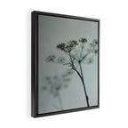 Delicate - abstract floral art photograph botanical Framed Canvas Print Gallery Image 2