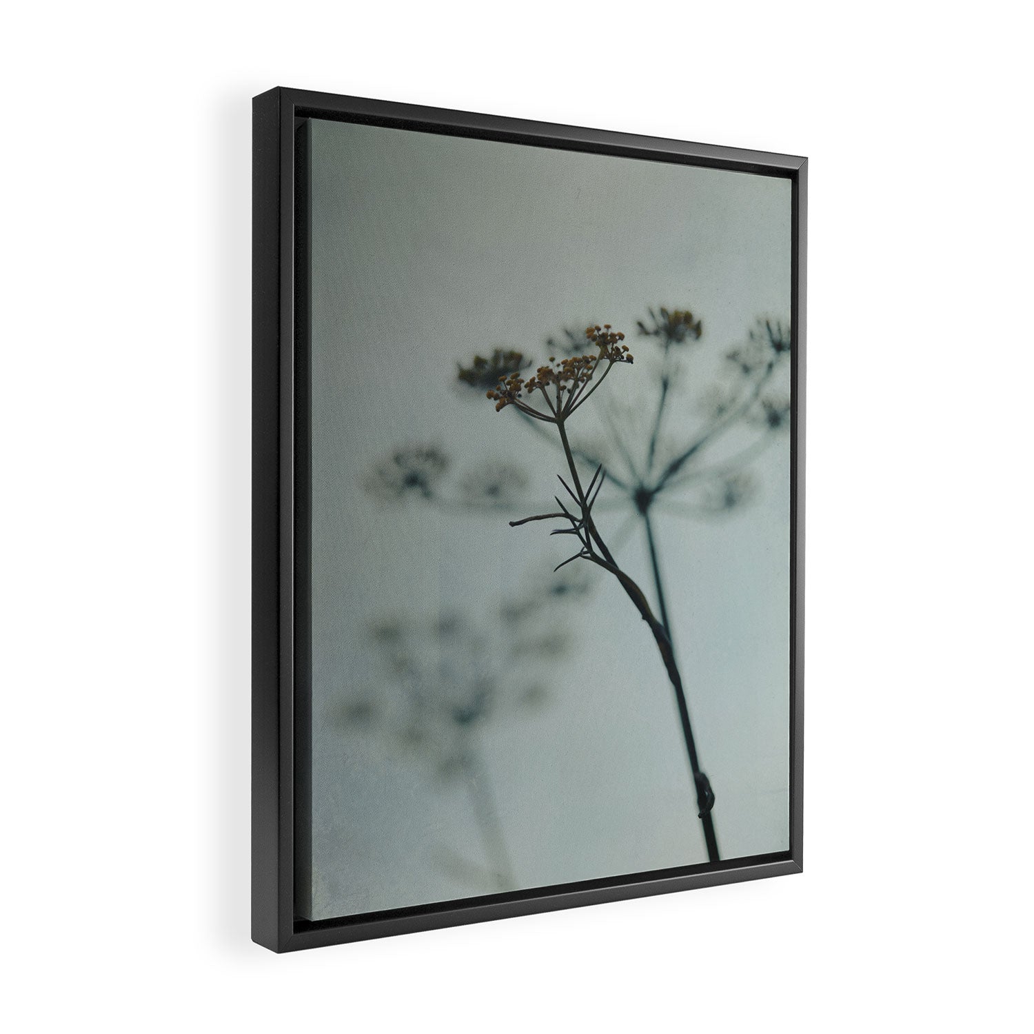 Delicate - abstract floral art photograph botanical Framed Canvas Print Gallery Image 2