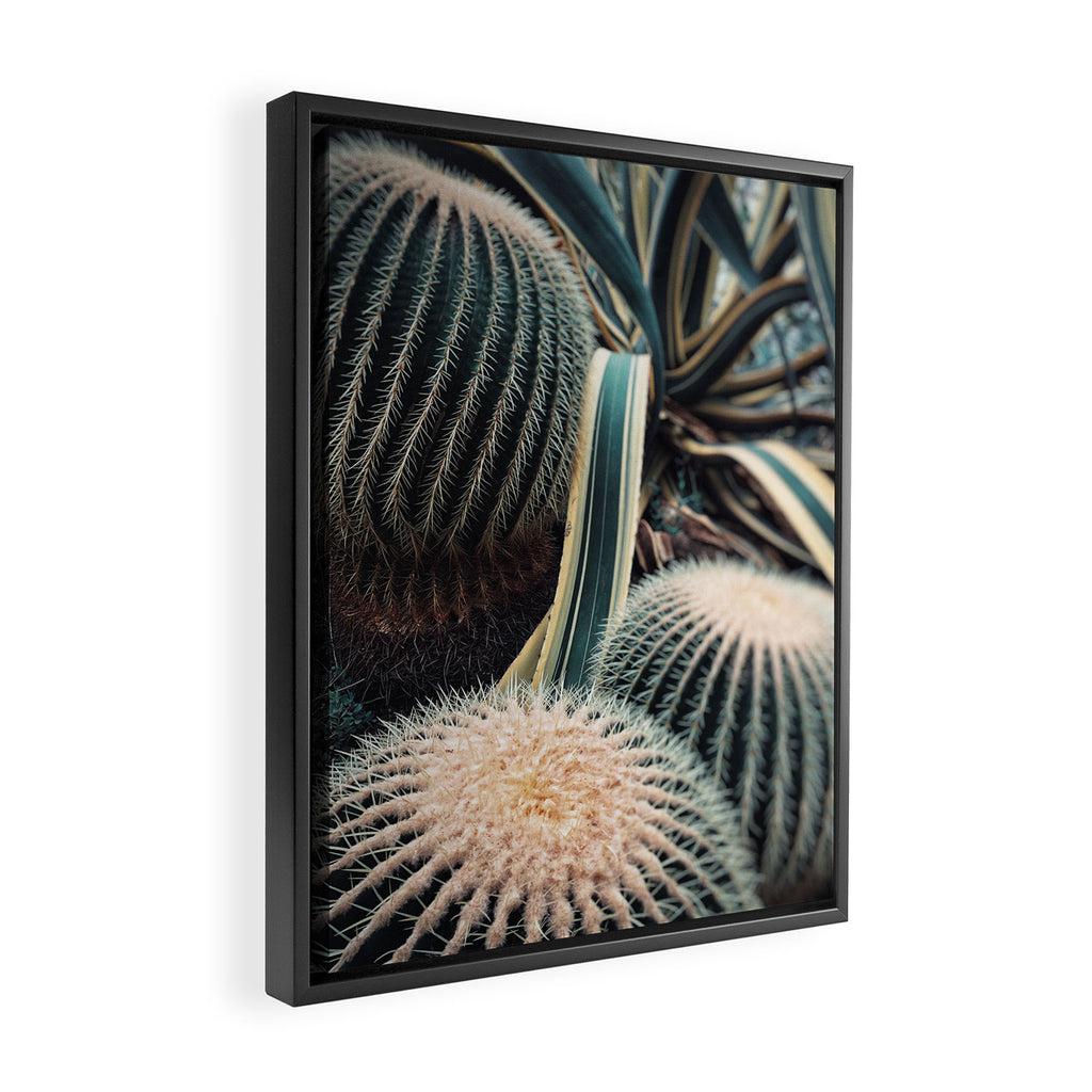 Desert Vibes Framed Canvas Print Gallery Image 2