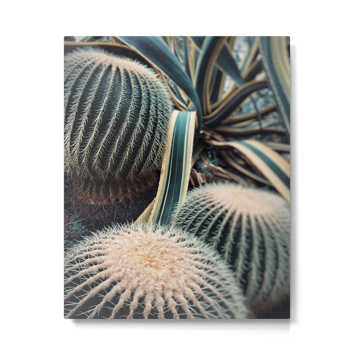 Desert Vibes Metal Print Gallery Image 1