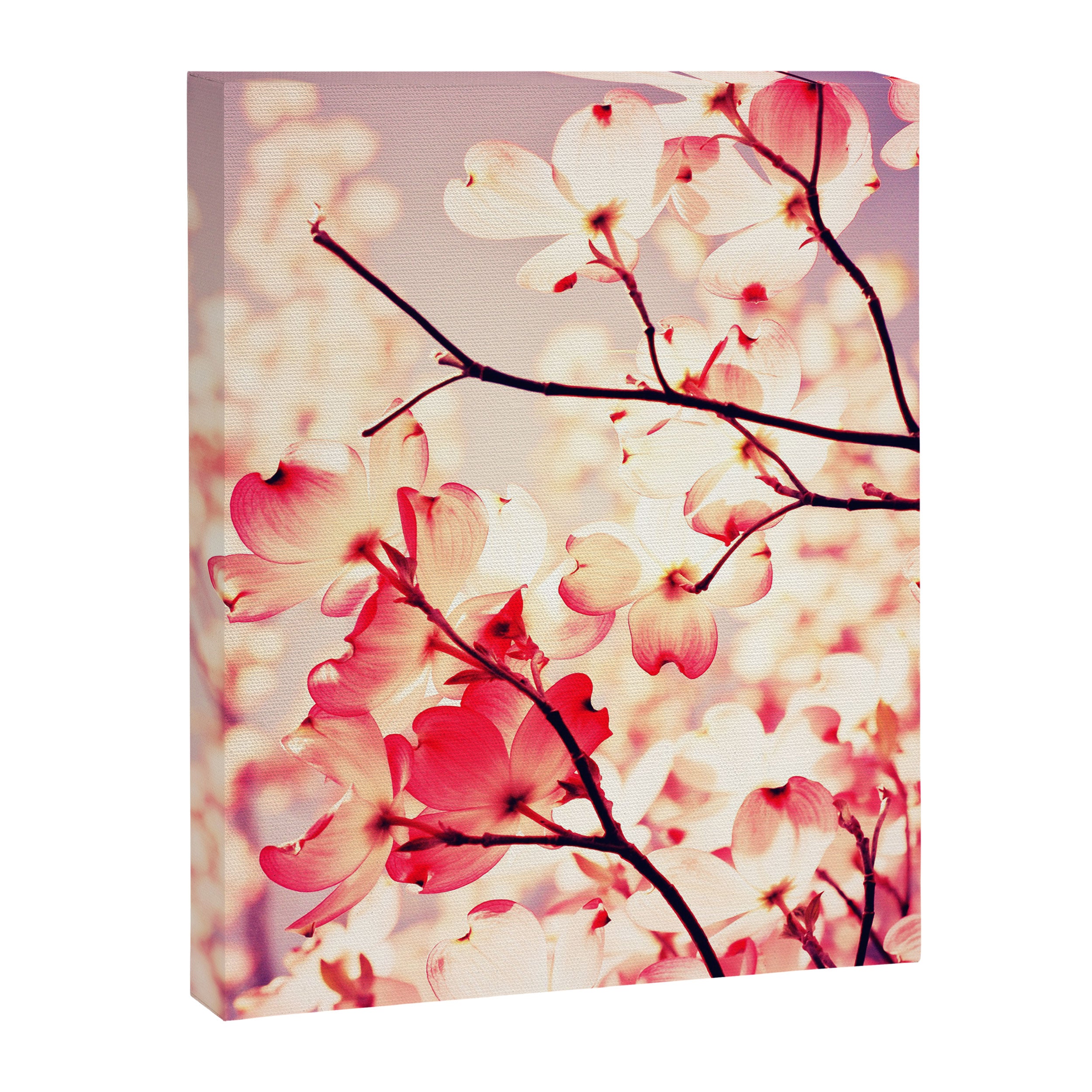 Dialogue With the Sky Canvas Print Gallery Image 8