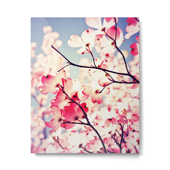 Dialogue With the Sky - Blue tones Metal Print Gallery Image 1