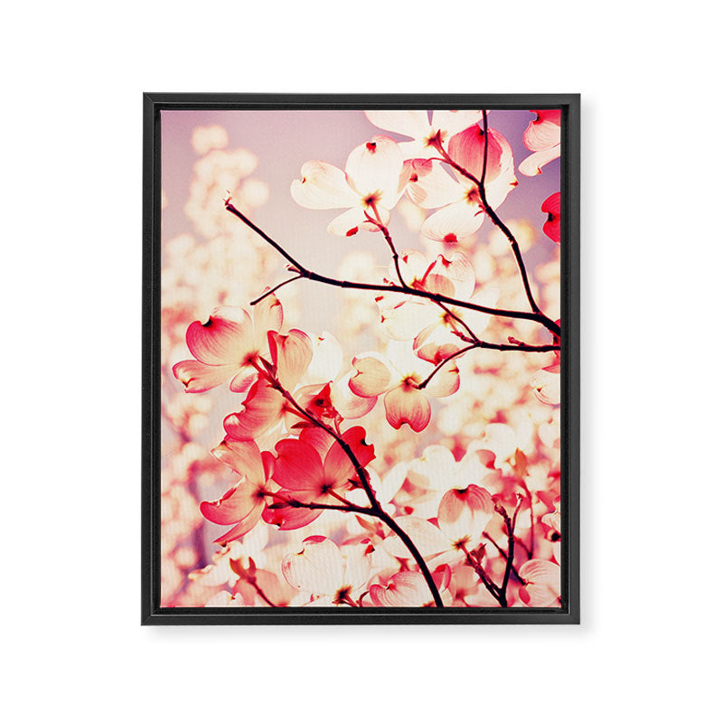 Dialogue With the Sky Framed Canvas Print Gallery Image 8