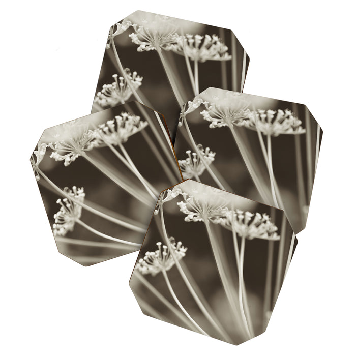 Dill Botanical Abstract 3 Coaster Gallery Image 1