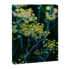 Dill Flower Canvas Print Gallery Image 6