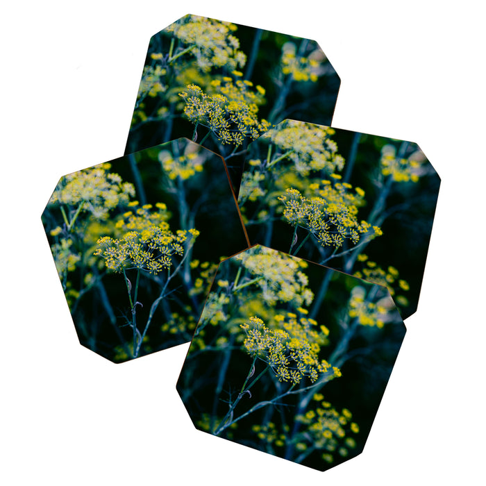 Dill Flower Coaster Gallery Image 1