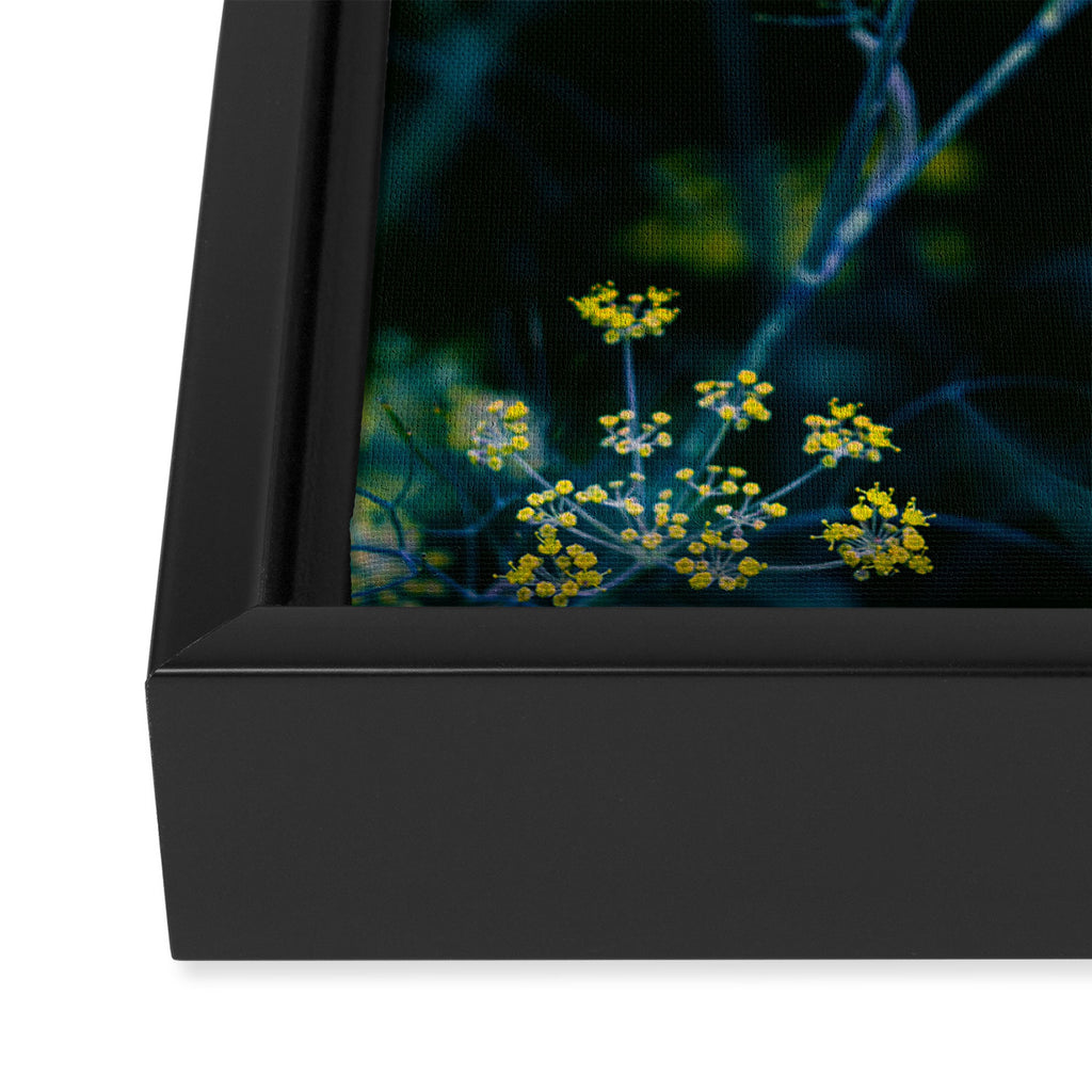 Dill Flower Framed Canvas Print Gallery Image 3