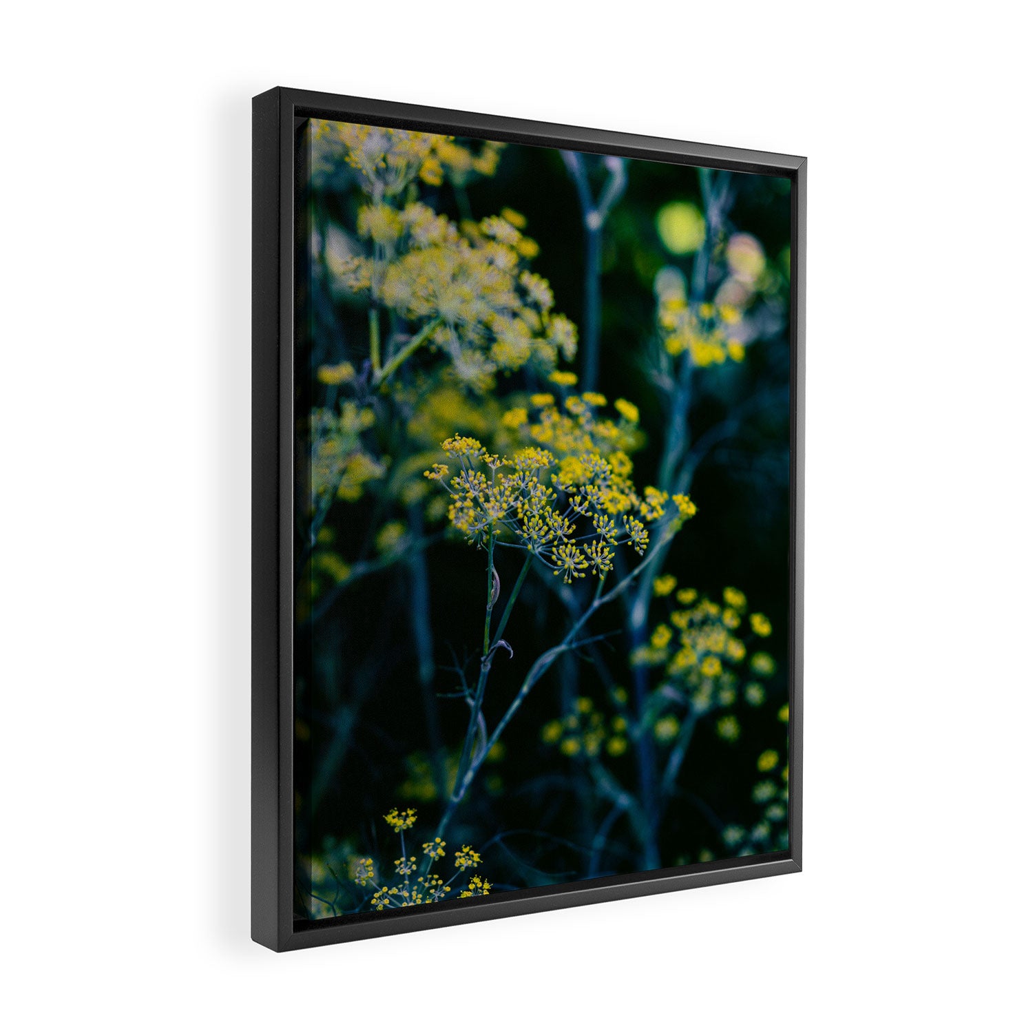 Dill Flower Framed Canvas Print Gallery Image 2