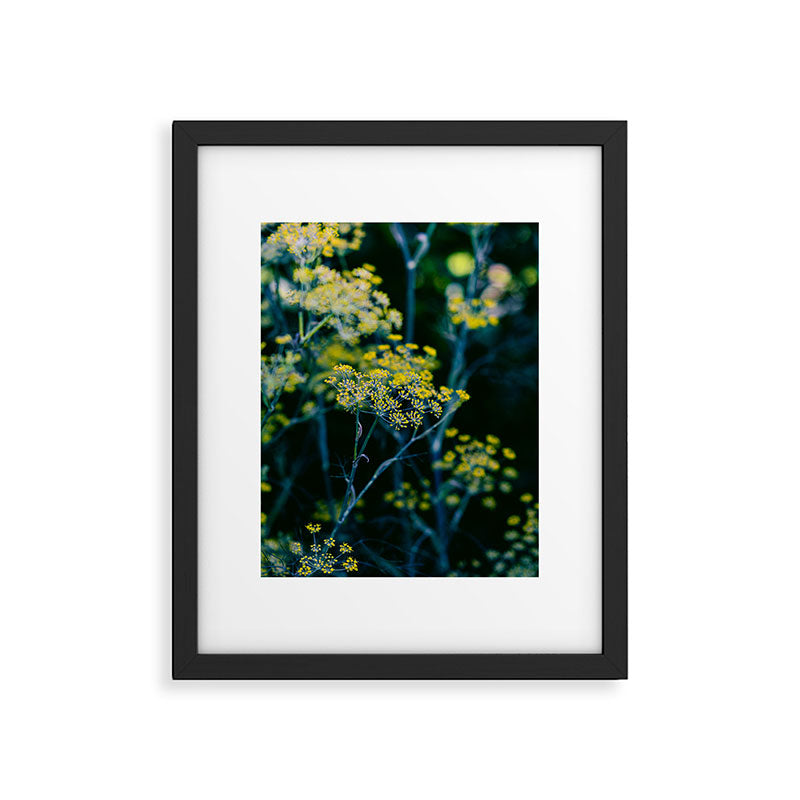 Dill Flower Framed Art Print Gallery Image 5