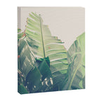 Diversity - tropical banana leaf photograph Canvas Print Gallery Image 6