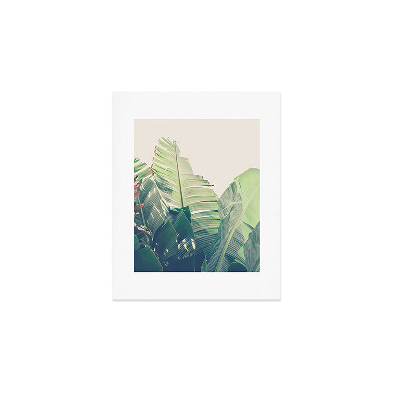 Diversity - tropical banana leaf photograph Art Print Gallery Image 1