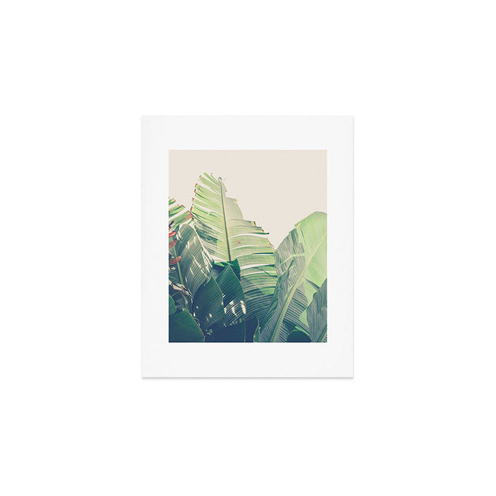 Diversity - tropical banana leaf photograph Art Print Gallery Image 1