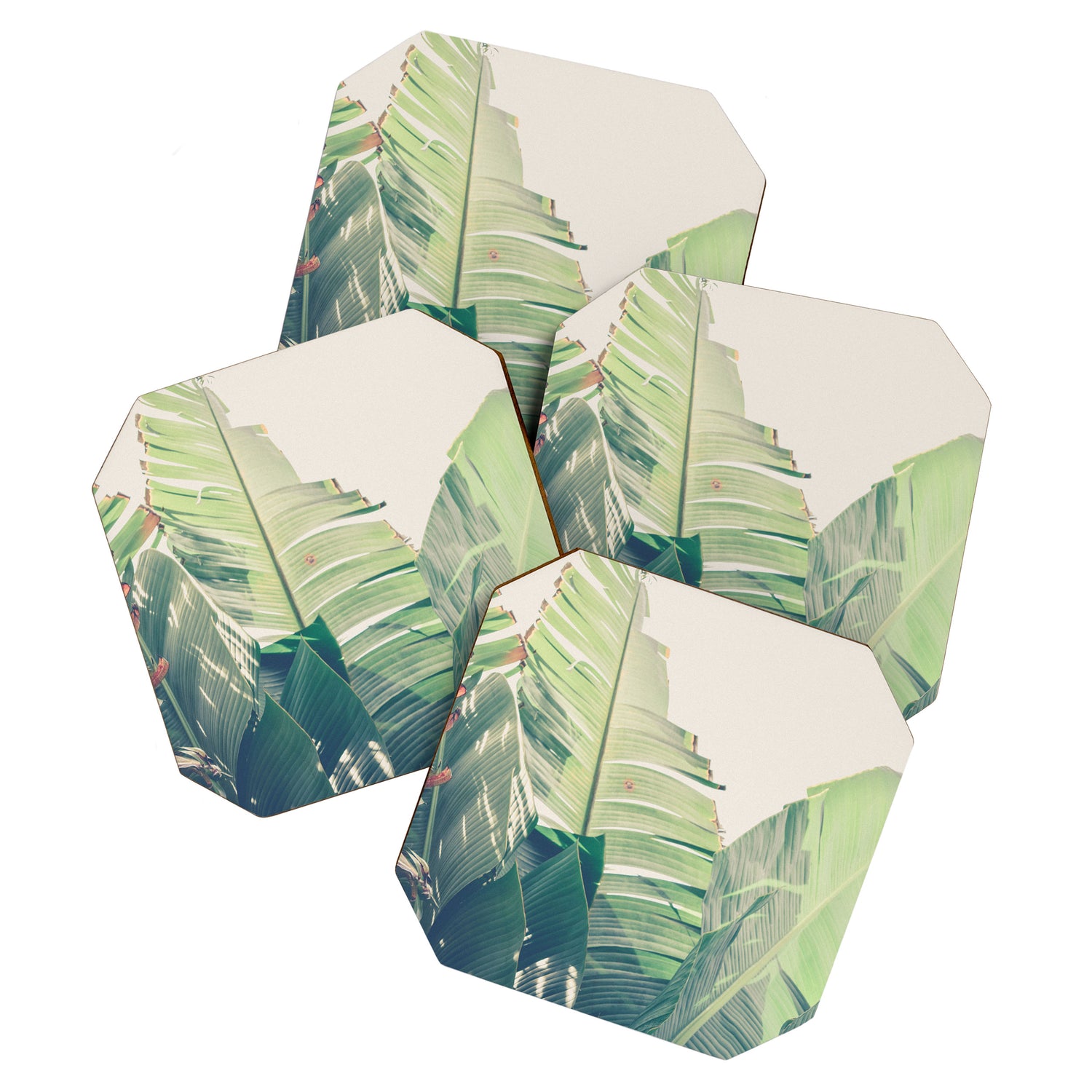 Diversity - tropical banana leaf photograph Coaster Gallery Image 1