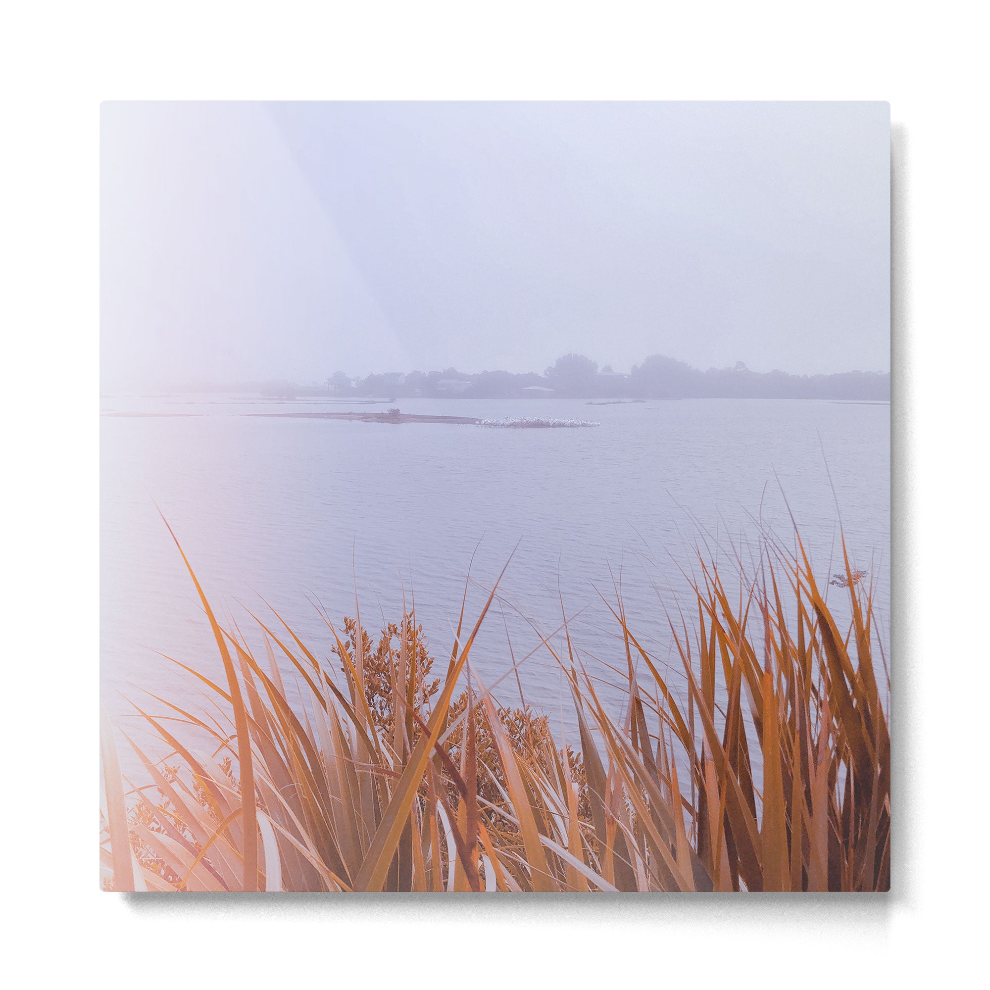 Drama Free Metal Print Gallery Image 2