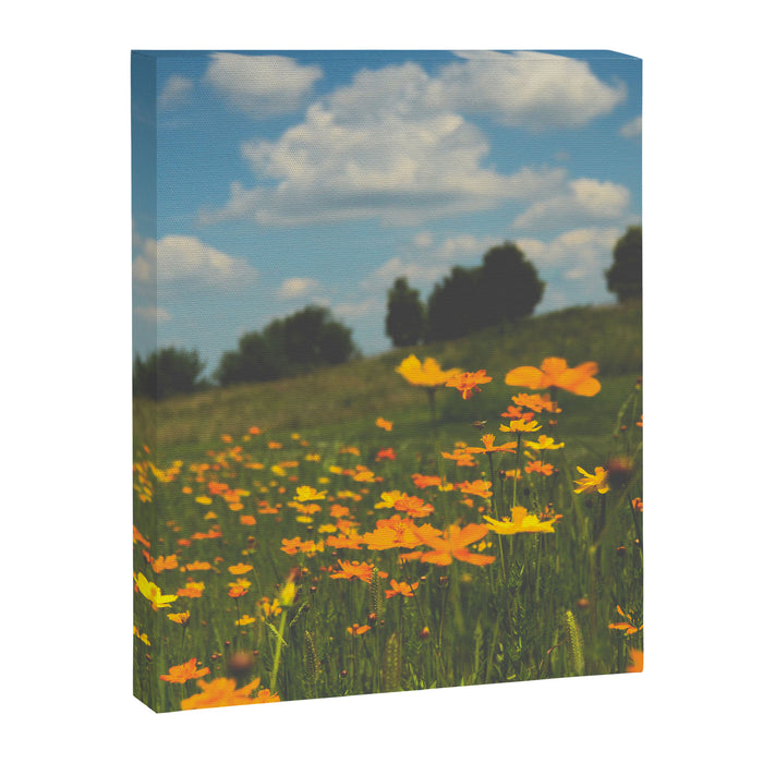 Dreaming in a Summer Field - boho nature wildflower photograph Canvas Print Gallery Image 1