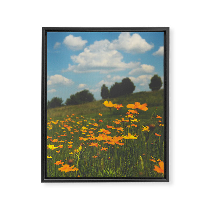 Dreaming in a Summer Field - boho nature wildflower photograph Framed Canvas Print Gallery Image 6