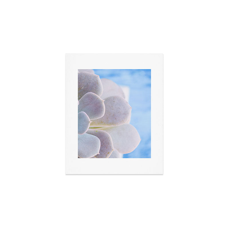 Echeveria Art Print Gallery Image 1